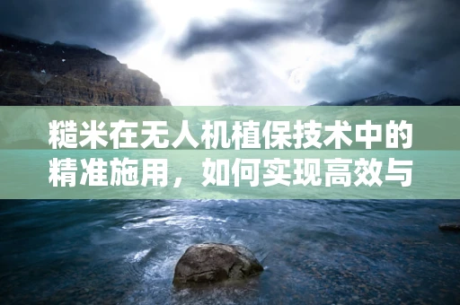糙米在无人机植保技术中的精准施用，如何实现高效与环保的平衡？