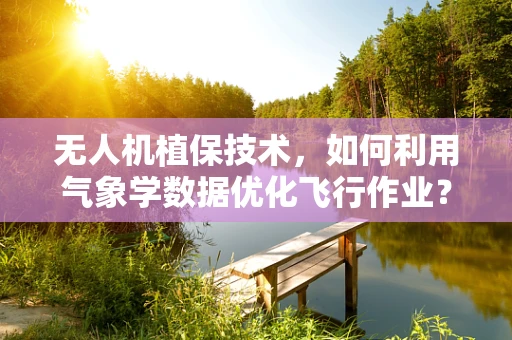 无人机植保技术，如何利用气象学数据优化飞行作业？