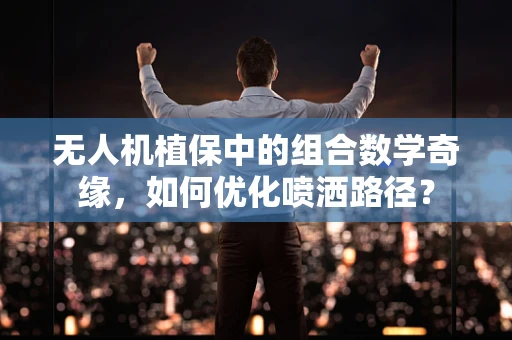 无人机植保中的组合数学奇缘，如何优化喷洒路径？