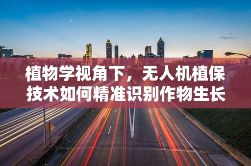 植物学视角下，无人机植保技术如何精准识别作物生长状态？