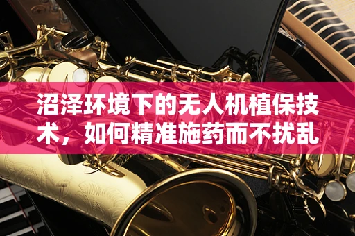 沼泽环境下的无人机植保技术，如何精准施药而不扰乱生态平衡？