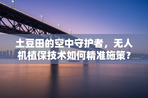 土豆田的空中守护者，无人机植保技术如何精准施策？