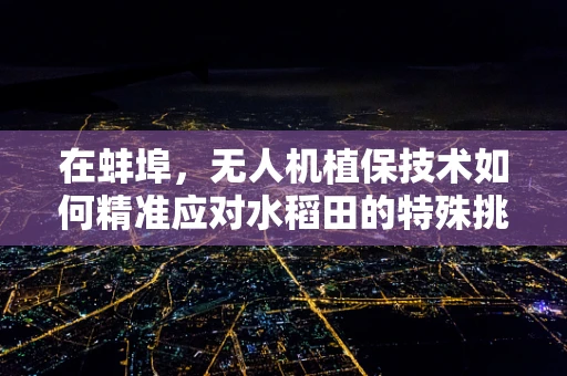 在蚌埠，无人机植保技术如何精准应对水稻田的特殊挑战？