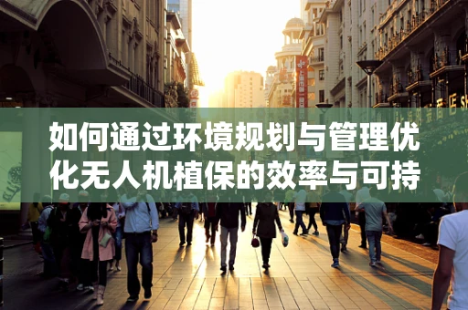 如何通过环境规划与管理优化无人机植保的效率与可持续性？