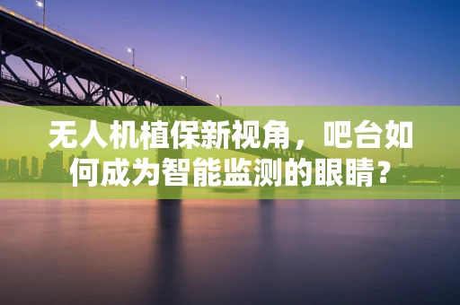 无人机植保新视角，吧台如何成为智能监测的眼睛？