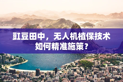 豇豆田中，无人机植保技术如何精准施策？