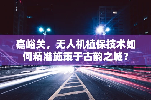 嘉峪关，无人机植保技术如何精准施策于古韵之城？