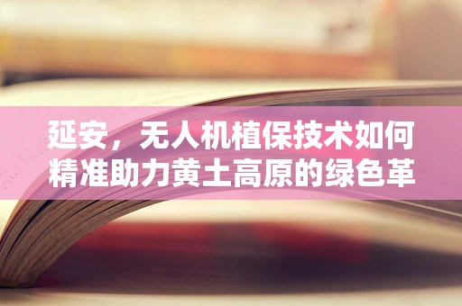延安，无人机植保技术如何精准助力黄土高原的绿色革命？