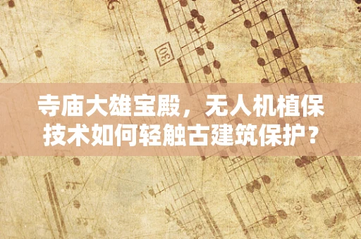 寺庙大雄宝殿，无人机植保技术如何轻触古建筑保护？