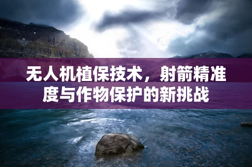 无人机植保技术，射箭精准度与作物保护的新挑战