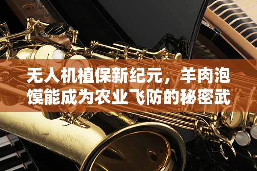 无人机植保新纪元，羊肉泡馍能成为农业飞防的秘密武器吗？