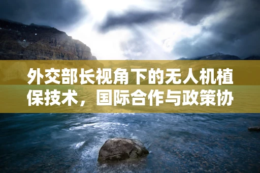 外交部长视角下的无人机植保技术，国际合作与政策协调的挑战