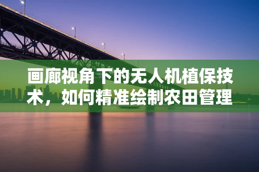 画廊视角下的无人机植保技术，如何精准绘制农田管理地图？