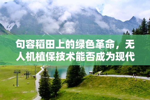 句容稻田上的绿色革命，无人机植保技术能否成为现代农业的空中守护者？