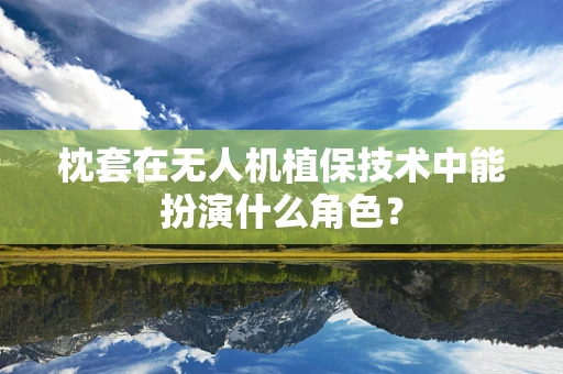 枕套在无人机植保技术中能扮演什么角色？