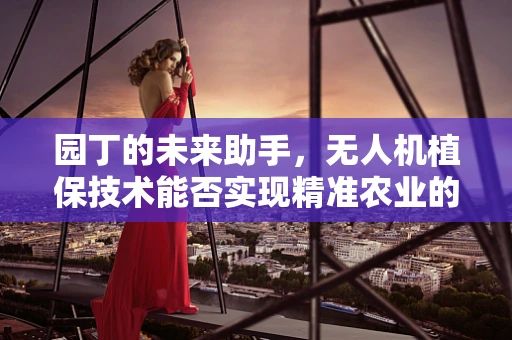 园丁的未来助手，无人机植保技术能否实现精准农业的智能园丁？