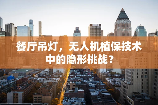 餐厅吊灯，无人机植保技术中的隐形挑战？