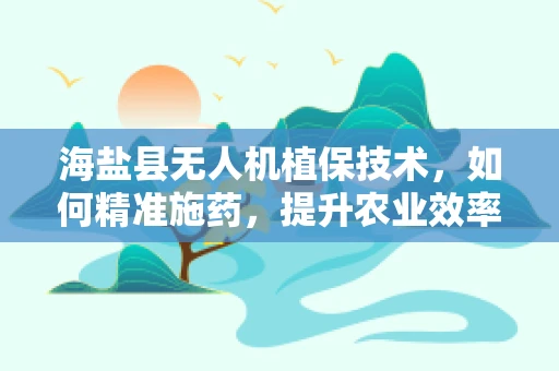 海盐县无人机植保技术，如何精准施药，提升农业效率？