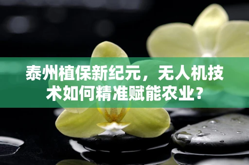 泰州植保新纪元，无人机技术如何精准赋能农业？