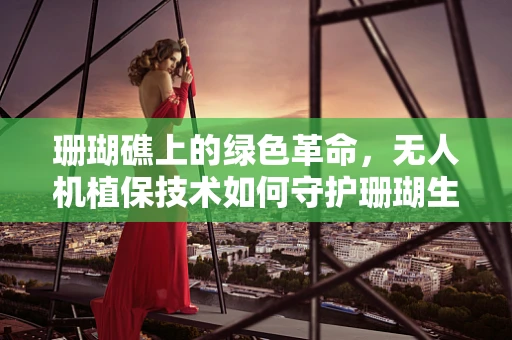 珊瑚礁上的绿色革命，无人机植保技术如何守护珊瑚生态？
