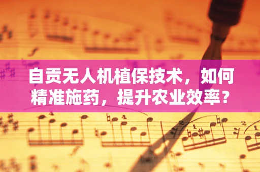 自贡无人机植保技术，如何精准施药，提升农业效率？