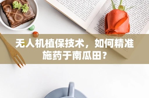 无人机植保技术，如何精准施药于南瓜田？