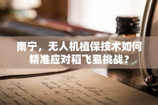 南宁，无人机植保技术如何精准应对稻飞虱挑战？
