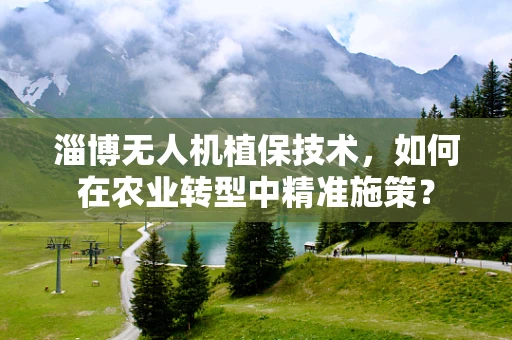 淄博无人机植保技术，如何在农业转型中精准施策？