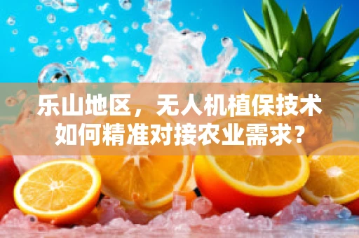 乐山地区，无人机植保技术如何精准对接农业需求？