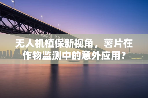 无人机植保新视角，薯片在作物监测中的意外应用？