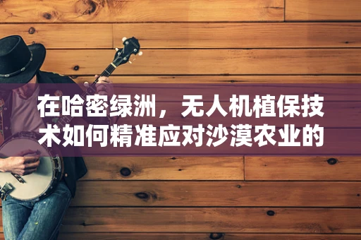在哈密绿洲，无人机植保技术如何精准应对沙漠农业的挑战？