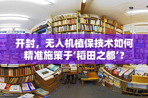 开封，无人机植保技术如何精准施策于‘稻田之都’？