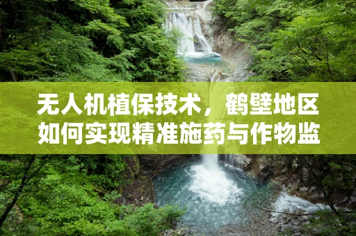 无人机植保技术，鹤壁地区如何实现精准施药与作物监测的完美结合？