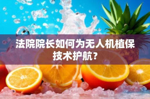 法院院长如何为无人机植保技术护航？