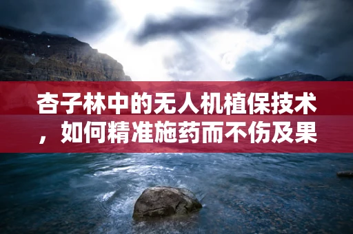 杏子林中的无人机植保技术，如何精准施药而不伤及果实？