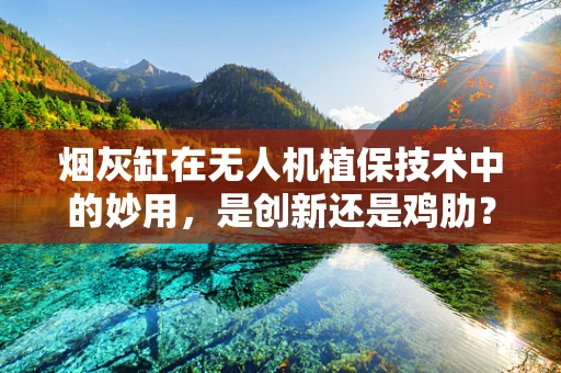 烟灰缸在无人机植保技术中的妙用，是创新还是鸡肋？