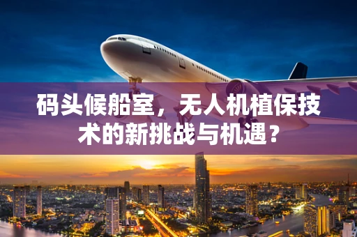 码头候船室，无人机植保技术的新挑战与机遇？