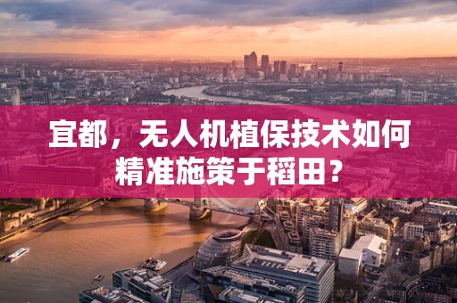 宜都，无人机植保技术如何精准施策于稻田？