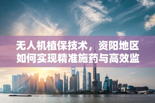 无人机植保技术，资阳地区如何实现精准施药与高效监测？