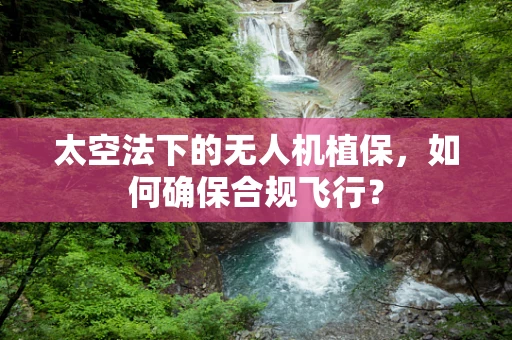 太空法下的无人机植保，如何确保合规飞行？