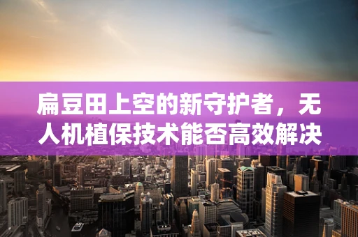 扁豆田上空的新守护者，无人机植保技术能否高效解决扁豆病虫害？