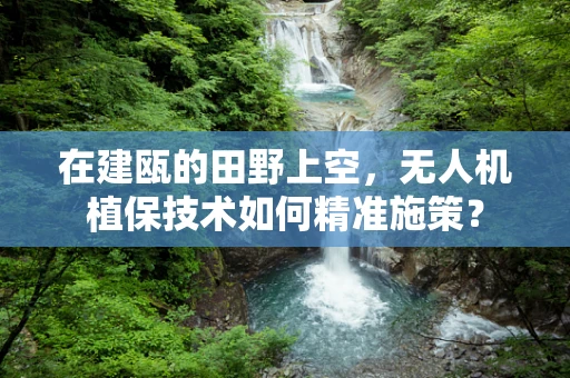 在建瓯的田野上空，无人机植保技术如何精准施策？