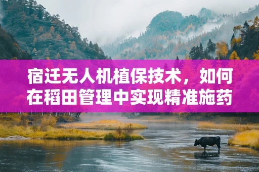 宿迁无人机植保技术，如何在稻田管理中实现精准施药？