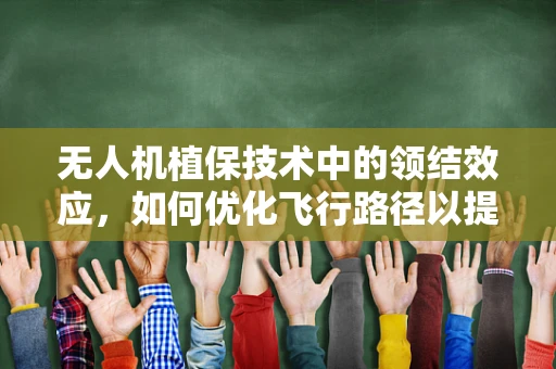 无人机植保技术中的领结效应，如何优化飞行路径以提升喷洒效率？
