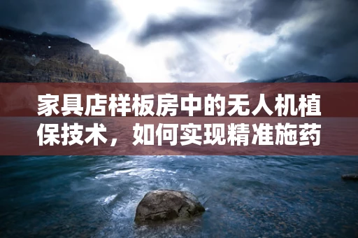 家具店样板房中的无人机植保技术，如何实现精准施药与空间优化？