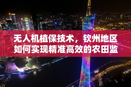 无人机植保技术，钦州地区如何实现精准高效的农田监测？