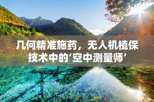 几何精准施药，无人机植保技术中的‘空中测量师’