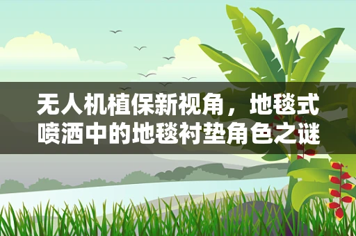 无人机植保新视角，地毯式喷洒中的地毯衬垫角色之谜