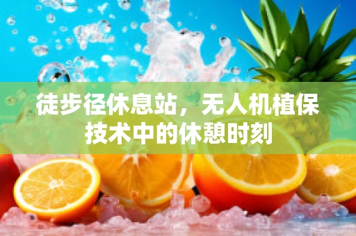 徒步径休息站，无人机植保技术中的休憩时刻