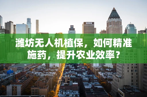 潍坊无人机植保，如何精准施药，提升农业效率？